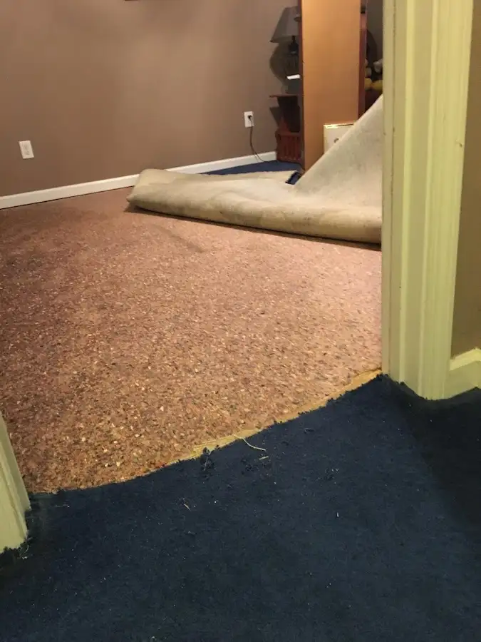 Carpet pad removal revealing water damage during Water Mitigation Services in Glenwood Springs