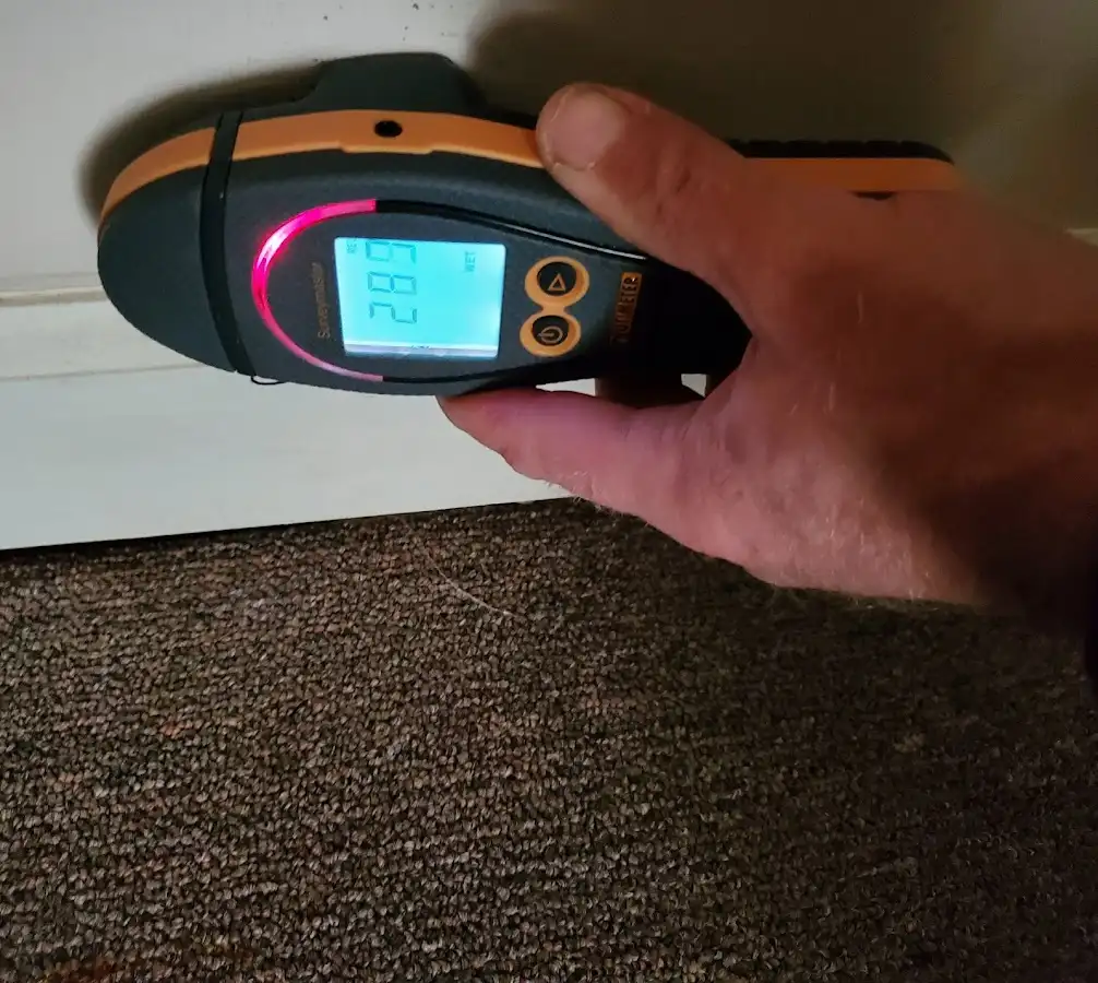 Moisture detection at baseboard during Burst Pipe Cleanup in Glenwood Springs